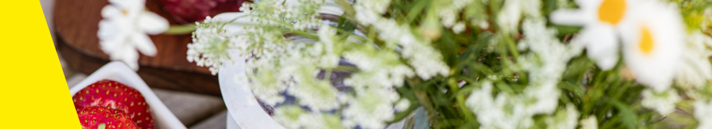 news Allman_info_startsida sasong sommar midsommar